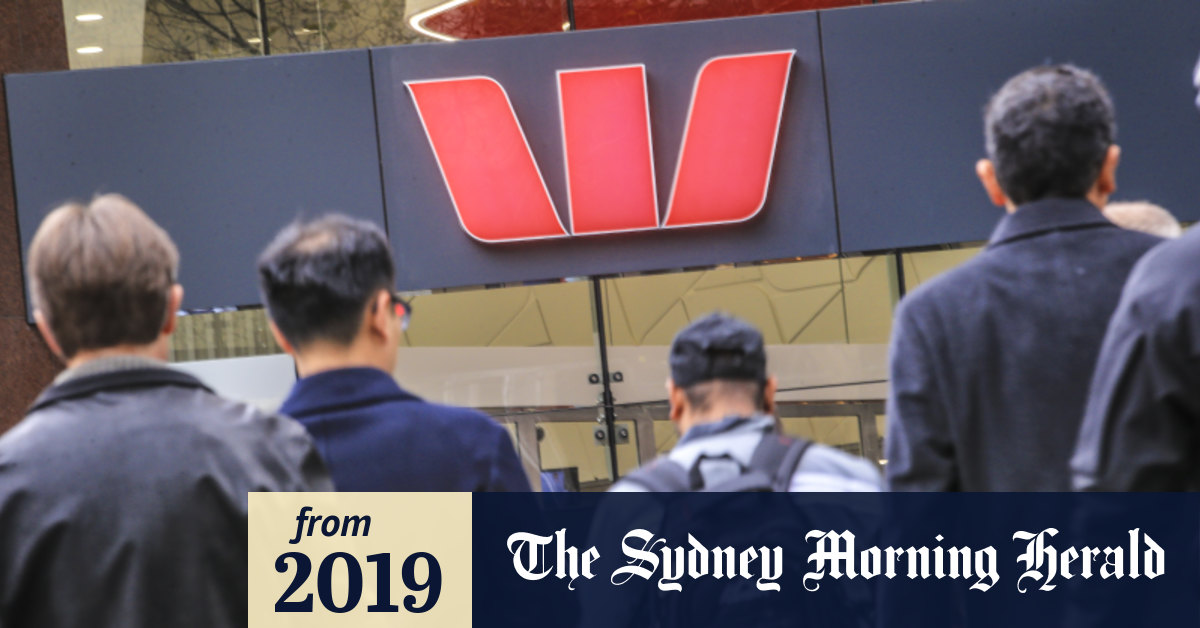 Westpac results Profits slide as bank aims to raise 2.5 billion